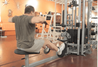 Cable Rear Delt Row (stirrups)