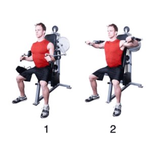 Lever Lateral Raise