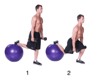Split squat (on stability ball)